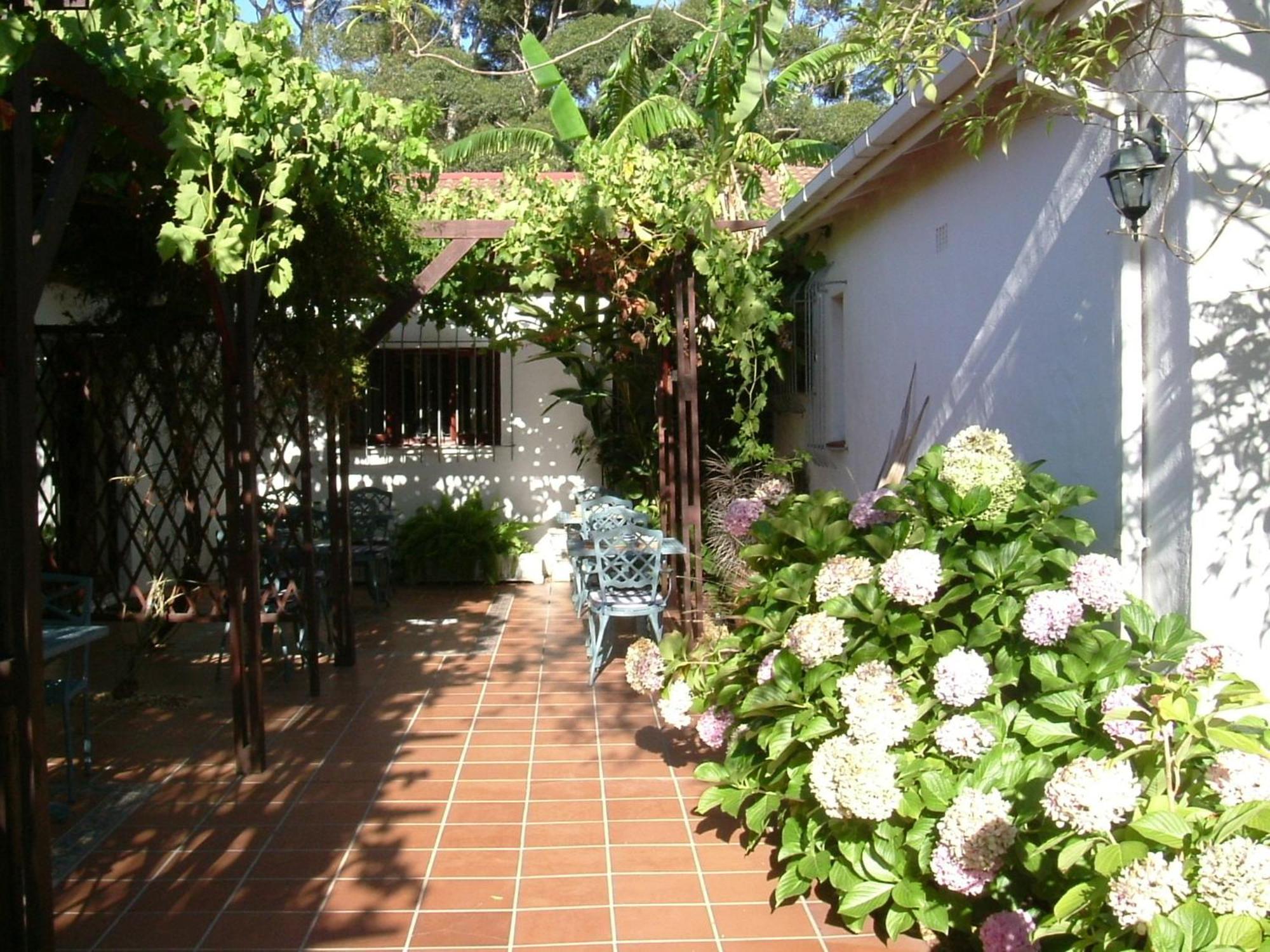 Vine Guesthouse Stellenbosch Exterior foto